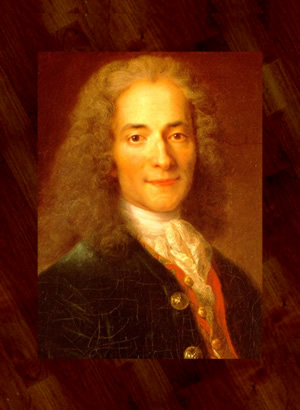   Voltaire, un rebelle de la politique